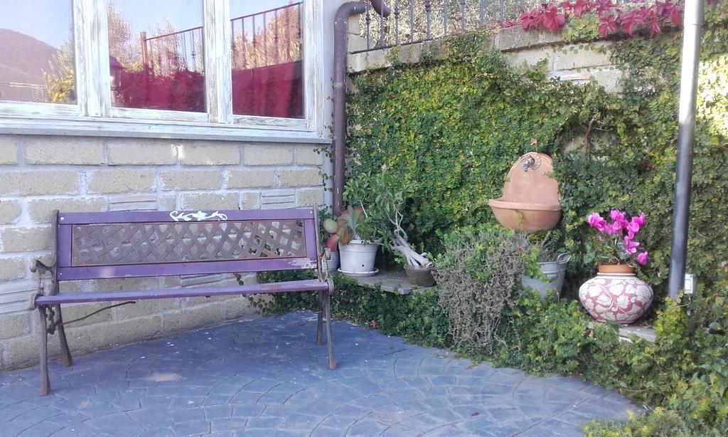Il Poggio Degli Ulivi Apartman Trevignano Romano Szoba fotó