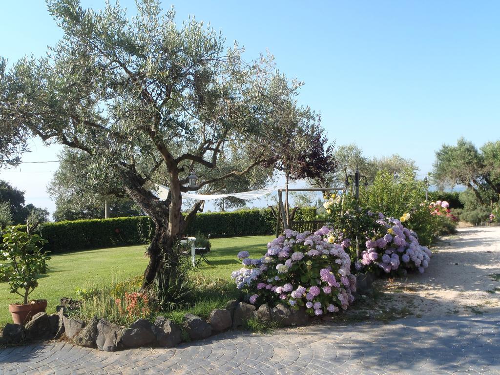 Il Poggio Degli Ulivi Apartman Trevignano Romano Szoba fotó