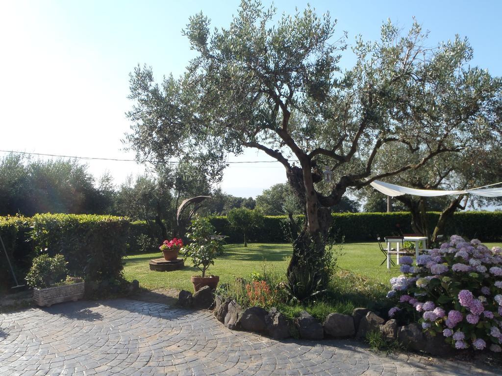 Il Poggio Degli Ulivi Apartman Trevignano Romano Szoba fotó