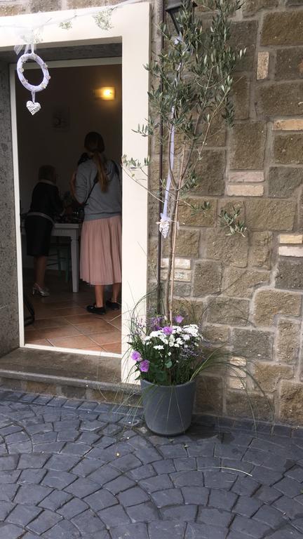 Il Poggio Degli Ulivi Apartman Trevignano Romano Kültér fotó