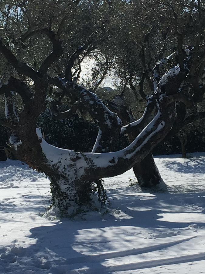 Il Poggio Degli Ulivi Apartman Trevignano Romano Kültér fotó