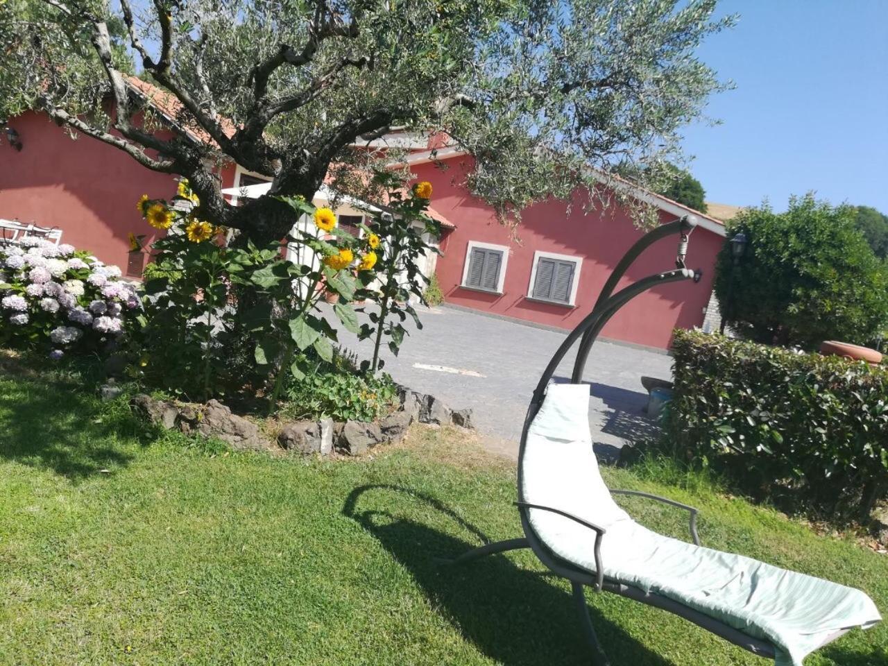 Il Poggio Degli Ulivi Apartman Trevignano Romano Kültér fotó