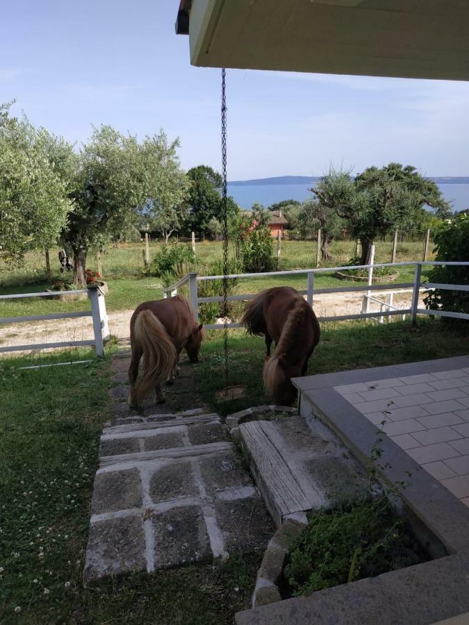 Il Poggio Degli Ulivi Apartman Trevignano Romano Kültér fotó
