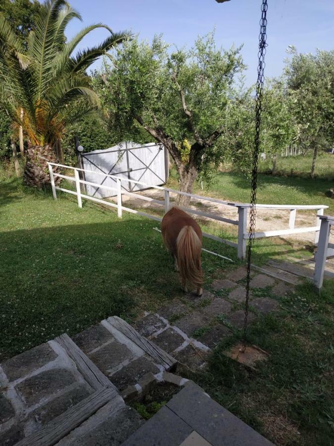 Il Poggio Degli Ulivi Apartman Trevignano Romano Kültér fotó